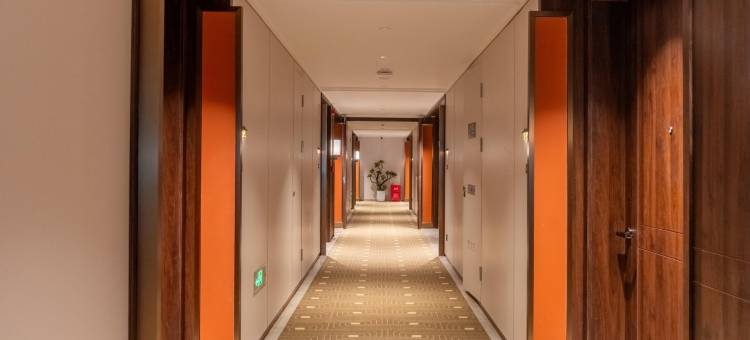 南京仙林大学城开元名庭酒店图片