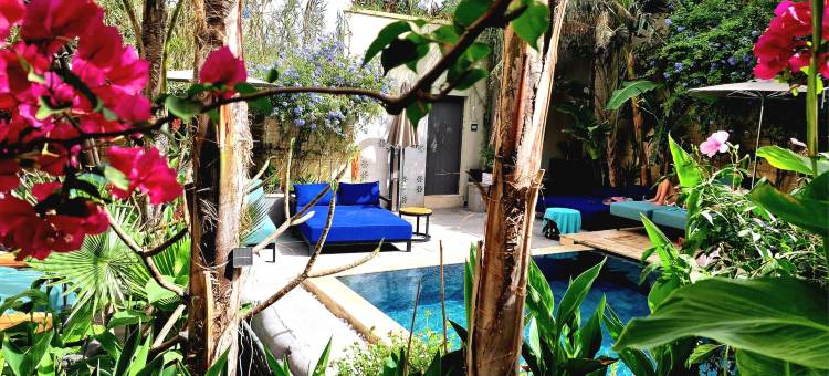 乡村精品及 Spa 酒店(The Village Boutique and Spa)图片