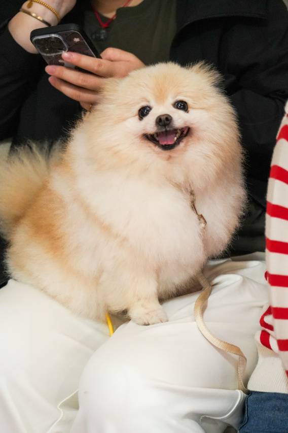 扬州凤隐梧桐温泉度假酒店图片