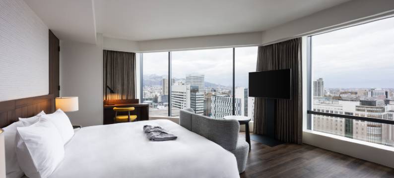 THE GATE HOTEL札幌 by HULIC(THE GATE HOTEL SAPPORO by HULIC)图片