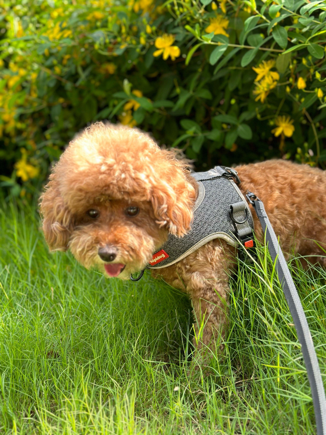 如愿山庄丨静畔水岸·轻奢度假民宿图片