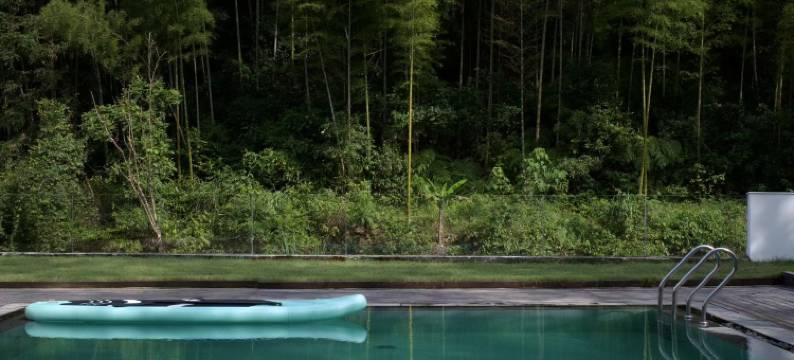 兴安有樹民宿图片