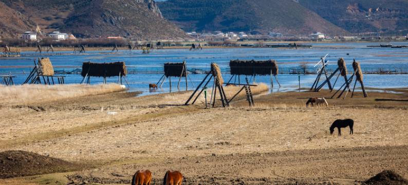 香格里拉檐外·无界之野|THE HORIZON图片