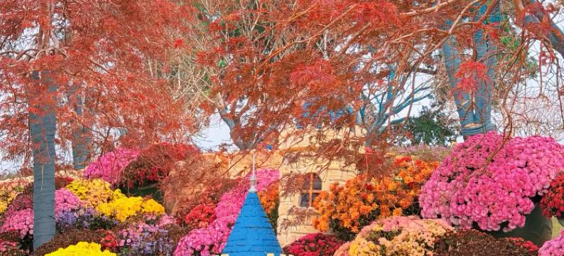 美豪丽致酒店(南宁会展中心万象城地铁站店)图片