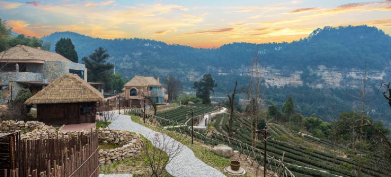 望山栖陶远茗居图片