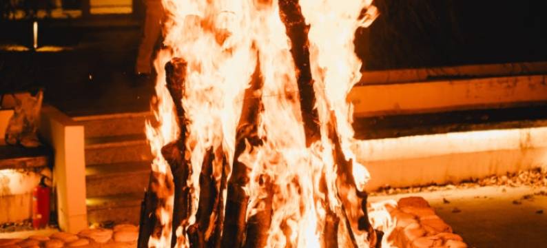 郁园乡野度假村图片