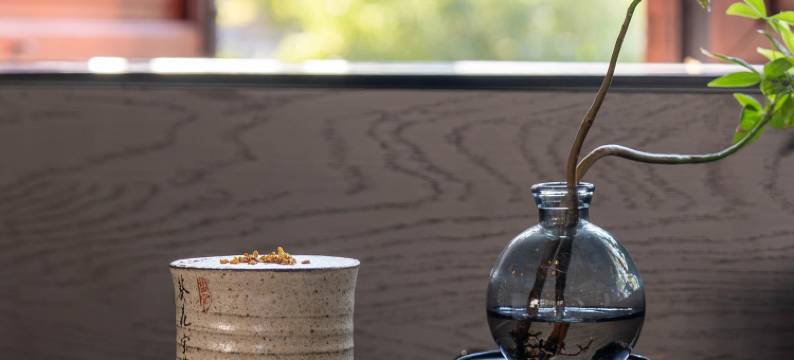 盐官潮乐之城水市酒店图片