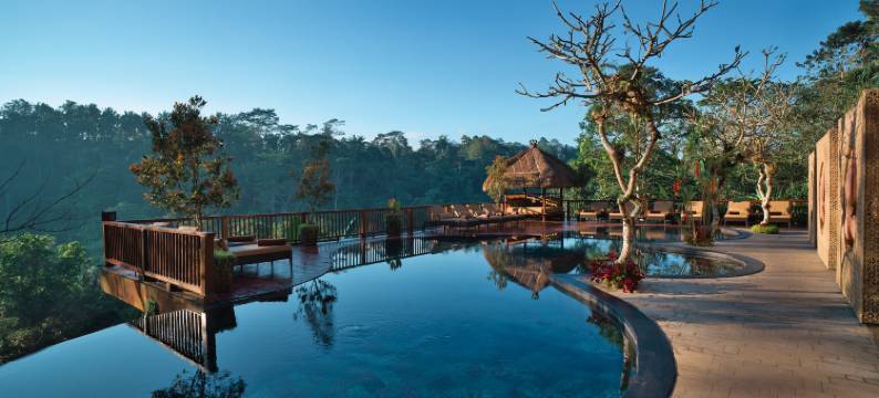 空中花园南迪尼丛林酒店(Nandini Jungle by Hanging Gardens)图片
