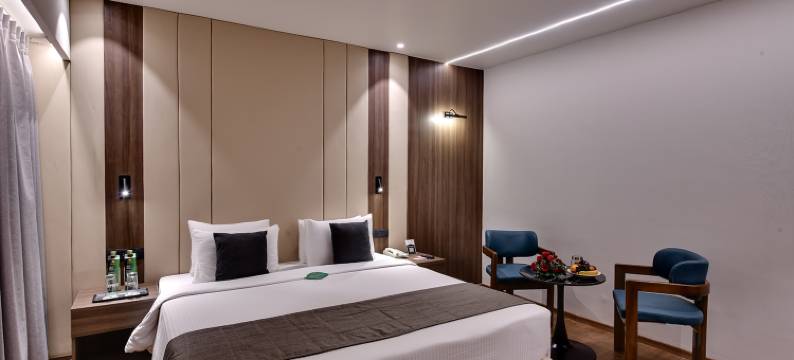 苏巴之星酒店，艾哈迈达巴德(Hotel Suba Star Ahmedabad)图片