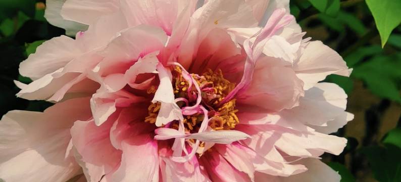 花筑·香山草堂(洛阳龙门石窟店)图片