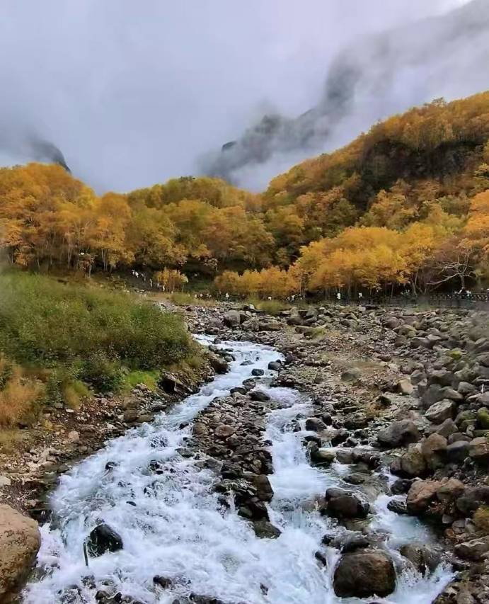 长白山北坡集散中心云顶市集亚朵酒店图片