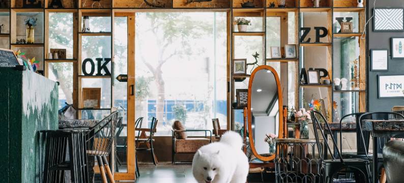 花屿海·设计美宿客栈(阳江海陵岛大角湾度假旅游区店)图片