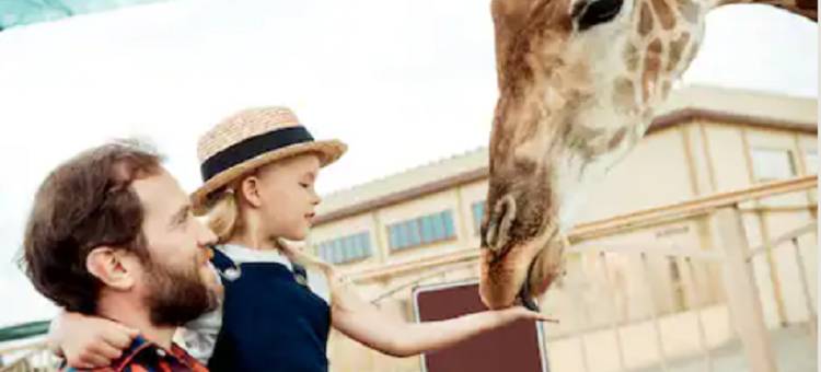 纽瓦克/弗里蒙特硅谷温德姆花园酒店(Wyndham Garden Newark/Fremont Silicon Valley)图片