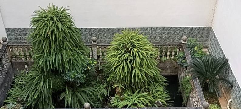 灌阳新大新大酒店图片