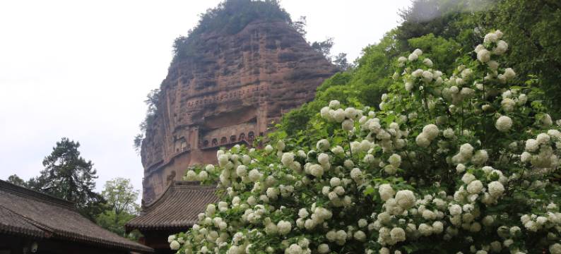 骆驼王子民宿(麦积山石窟景区店)图片