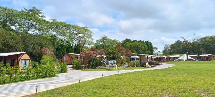 埔心牧场牛仔星村图片