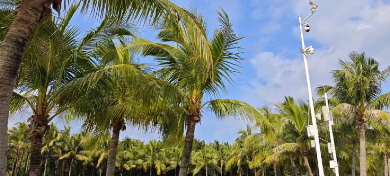 深圳滨河时代和盛高级商务公寓图片