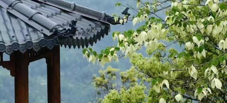 峨眉山竹韵小院(峨眉山报国寺店)图片