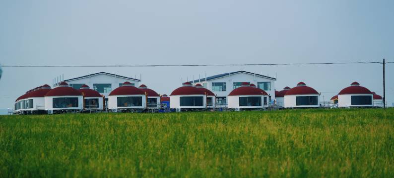 额尔古纳市黑山头手指羊牧场图片
