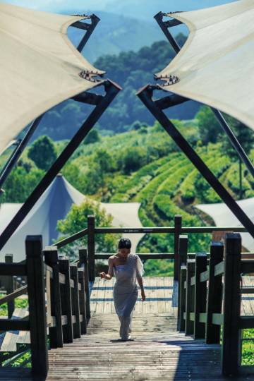 普洱倚象山营地暨半山酒店图片