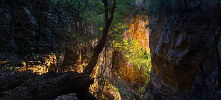 淄川宾馆(淄博淄川区政府蒲松龄故居店)图片