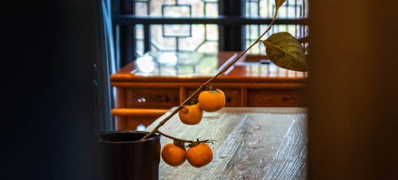 泾溪水镇梦乡村民宿图片