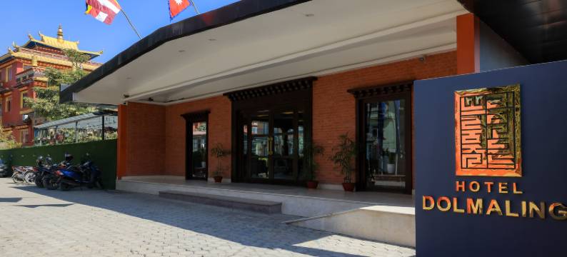 多尔玛灵酒店(Hotel Dolmaling)图片