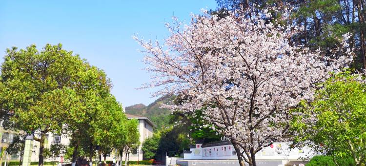 黄山维笙徽映大酒店图片