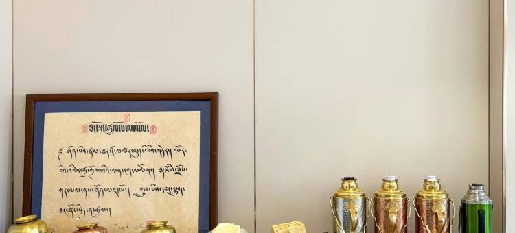 汤东杰普大酒店图片