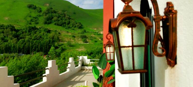 尼勒克归去来兮民宿图片