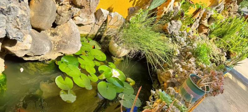 客来轩客栈图片