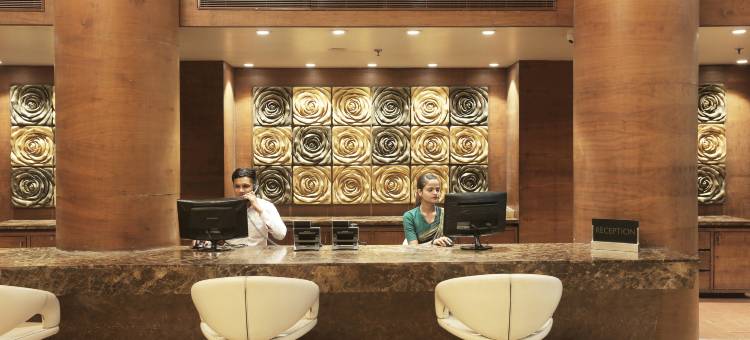 灶神星国际酒店(Vesta International)图片