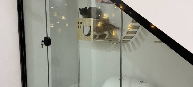 特克斯派派家民宿(八卦城中心太极坛店)图片