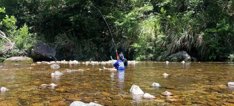 仙居自家民宿图片