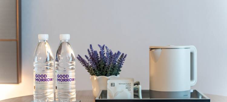 麗枫酒店(景德镇陶溪川北路店)图片