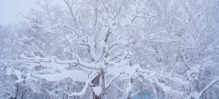 雪苑云居客栈(中国雪谷风景区店)图片