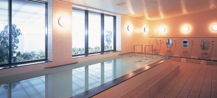 奈良日航国际酒店(Hotel Nikko Nara)图片