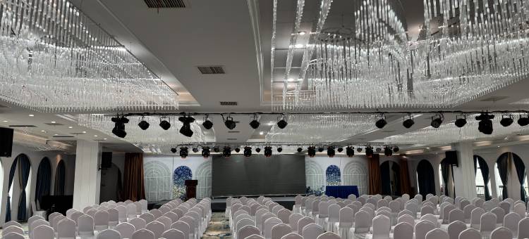 维也纳国际酒店(枞阳盛世龙城店)图片