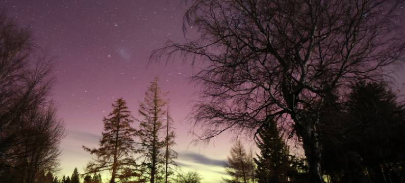 特卡波1929 度假庄园(Tekapo1929 Lakefront Villa)图片