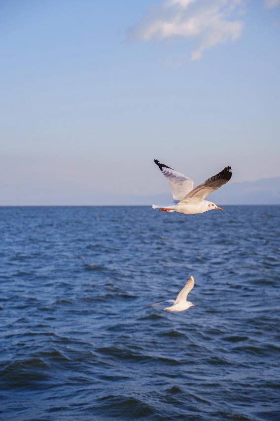 DaLi未栖棠丨日出云海·sea view视野·海景美宿(洱海店)图片