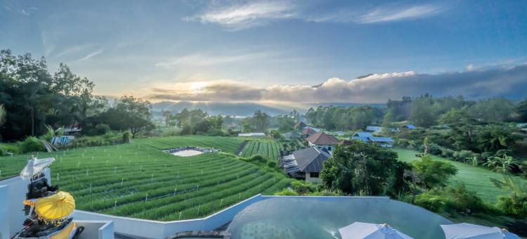 汉兹金塔马尼别墅(The Hanz Villa Kintamani)图片