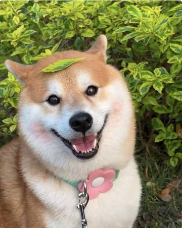 山林隐逸·主题小院(太湖西山店)图片