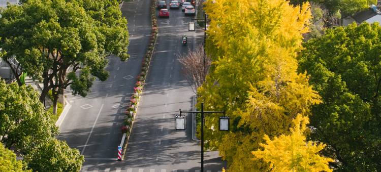 苏州文旅姑苏小院·万年桥酒店(观前街店)图片