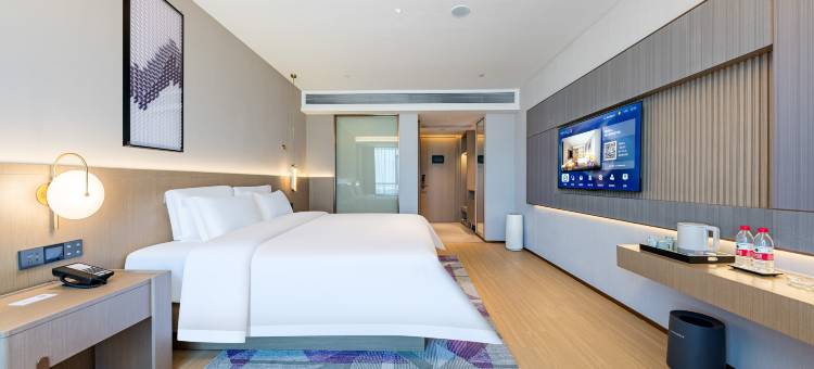 麗枫酒店(惠来隆江镇政府店)图片