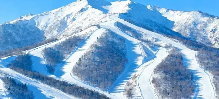 望山度假大酒店(亚布力滑雪场店)图片