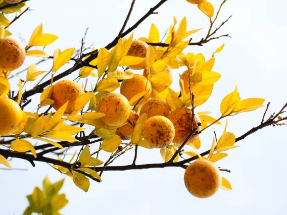 厦门五缘水乡酒店(湿地公园店)图片