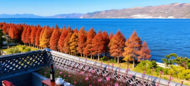大理洱煦小院民宿(龙龛码头店)图片