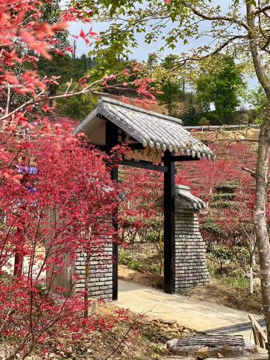 Xinfeng Lingnan maple leaves WorldHotel Overview