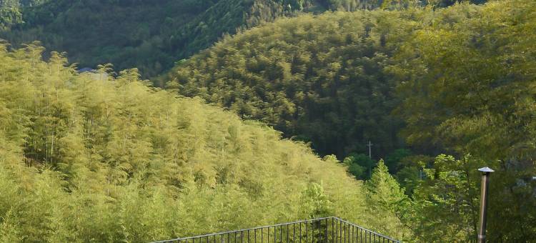 莫干山自然而然In Nature｜山景度假民宿图片