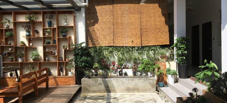 大理玉兰花客栈图片